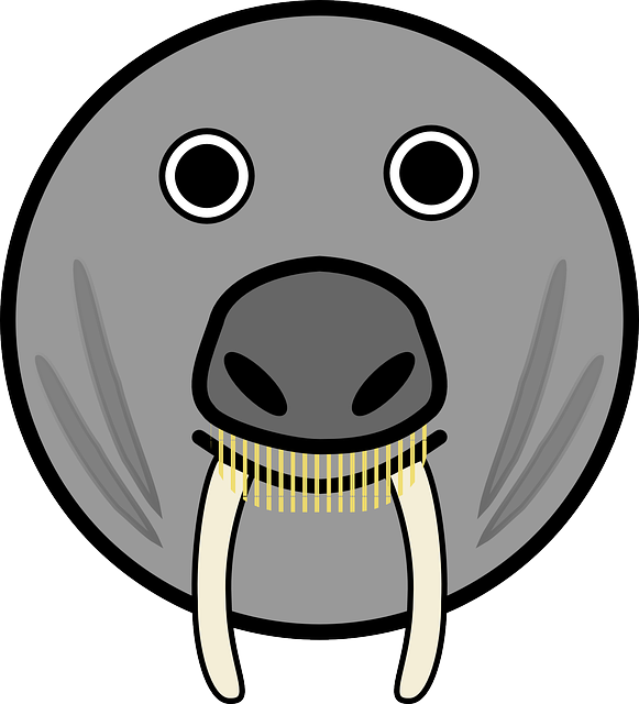 Elephant Seal, Seal, Horns, Fang Teeth, Fangs, Animal - Animal Faces Cartoon (581x640), Png Download
