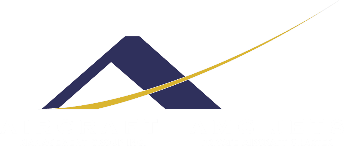 Private Jet Aircraft Charter - Jet Aircraft (1176x499), Png Download