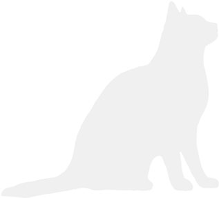 Grey Cat Decoration - Grey Cat Silhouette Png (393x339), Png Download