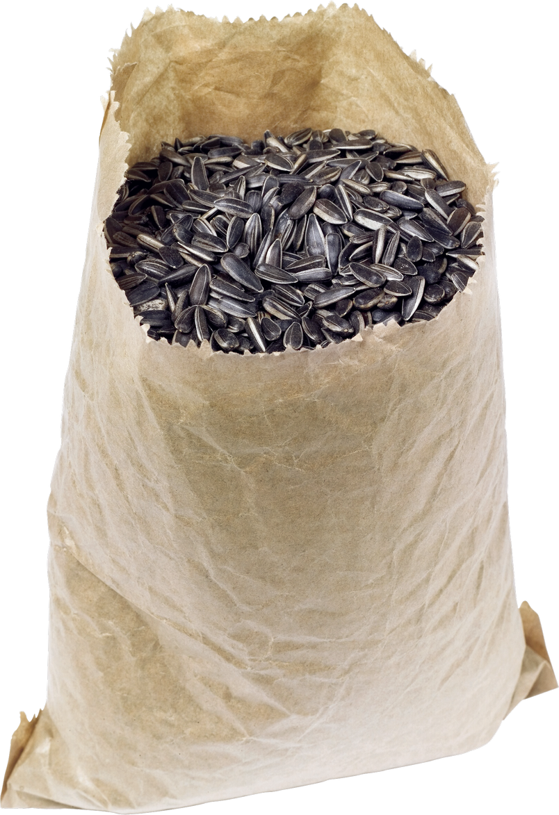 Sunflower Seeds Png Image - Семечки Пнг (804x1173), Png Download