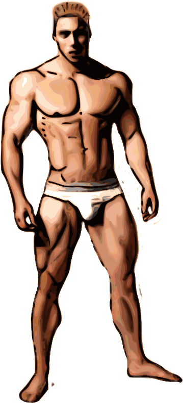 Bodybuilders Clipart Png (367x800), Png Download
