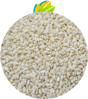 Hulled Sesame Seeds - Sesame (400x350), Png Download