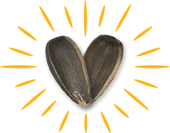 Amazing Flavors - Heart (598x440), Png Download