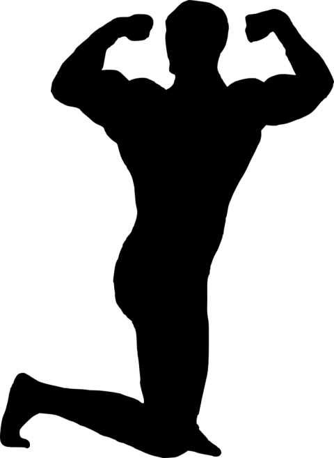 Picture Freeuse Download Bodybuilder Silhouette Png - Bodybuilding (480x657), Png Download