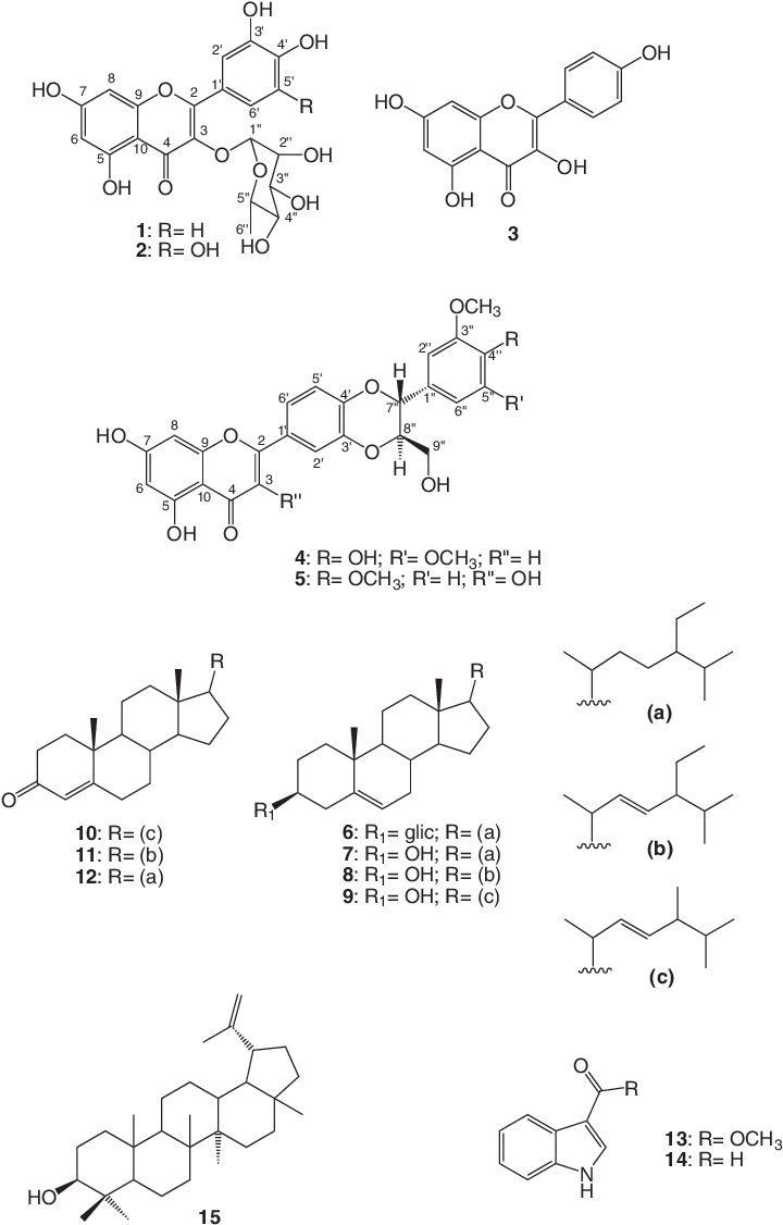 Substâncias Isoladas De Mimosa Artemisiana - Diagram (727x1137), Png Download