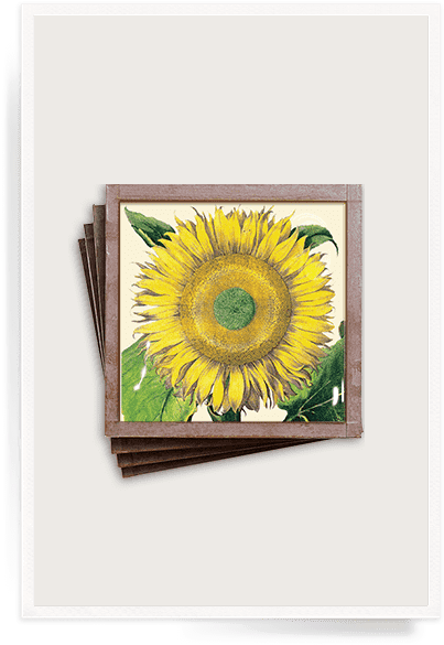Ben's Garden - Flower Garden Tear Off Weekly 2014 (420x600), Png Download
