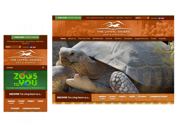 Desert Tortoise (671x450), Png Download