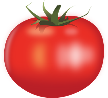 Food Tomato Vegetable Tomato Tomato Tomato - Transparent Background Tomato Clipart (376x340), Png Download