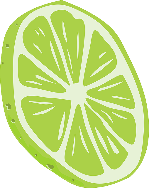 Green, Food, Slice, Fruit, Cartoon, Lemon, Lime, Tomato - Orange Peel Vector Png (508x640), Png Download