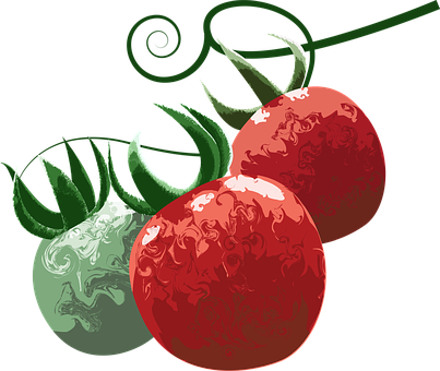 Tomato, Fruit, Food, Healthy, Fresh - Food (403x340), Png Download