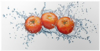 Photograph (400x400), Png Download