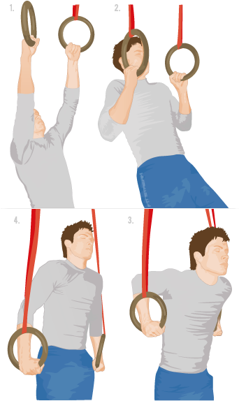 Performing - Beginner Gymnastic Ring Exercises (341x591), Png Download