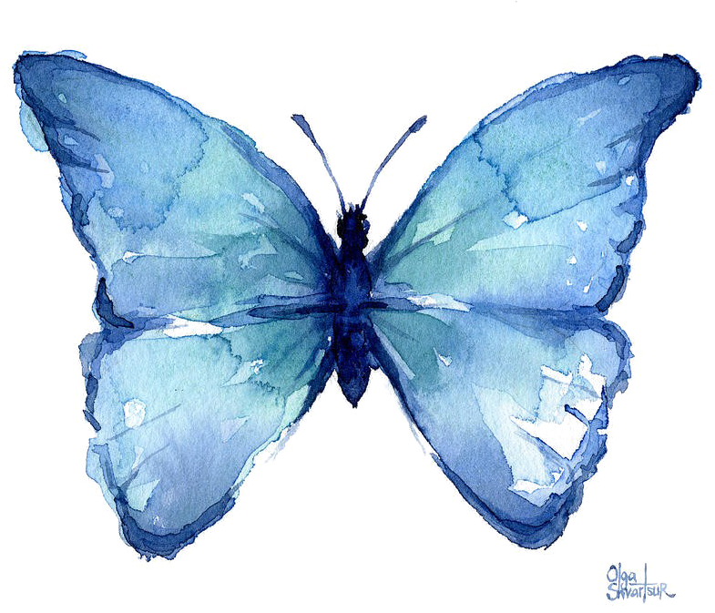 Blue Butterfly Png Free Download - Blue Butterflies Watercolor Art (899x900), Png Download