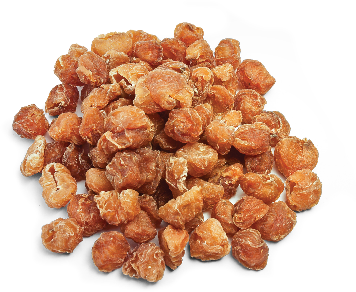 Dried Longan Fruit - Longan (1250x987), Png Download
