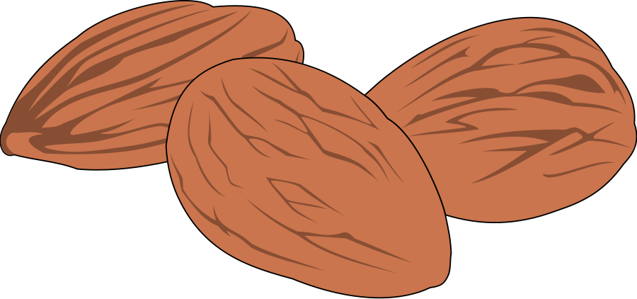 This Free Clipart Png Design Of Nut 02 Clipart Has (900x422), Png Download
