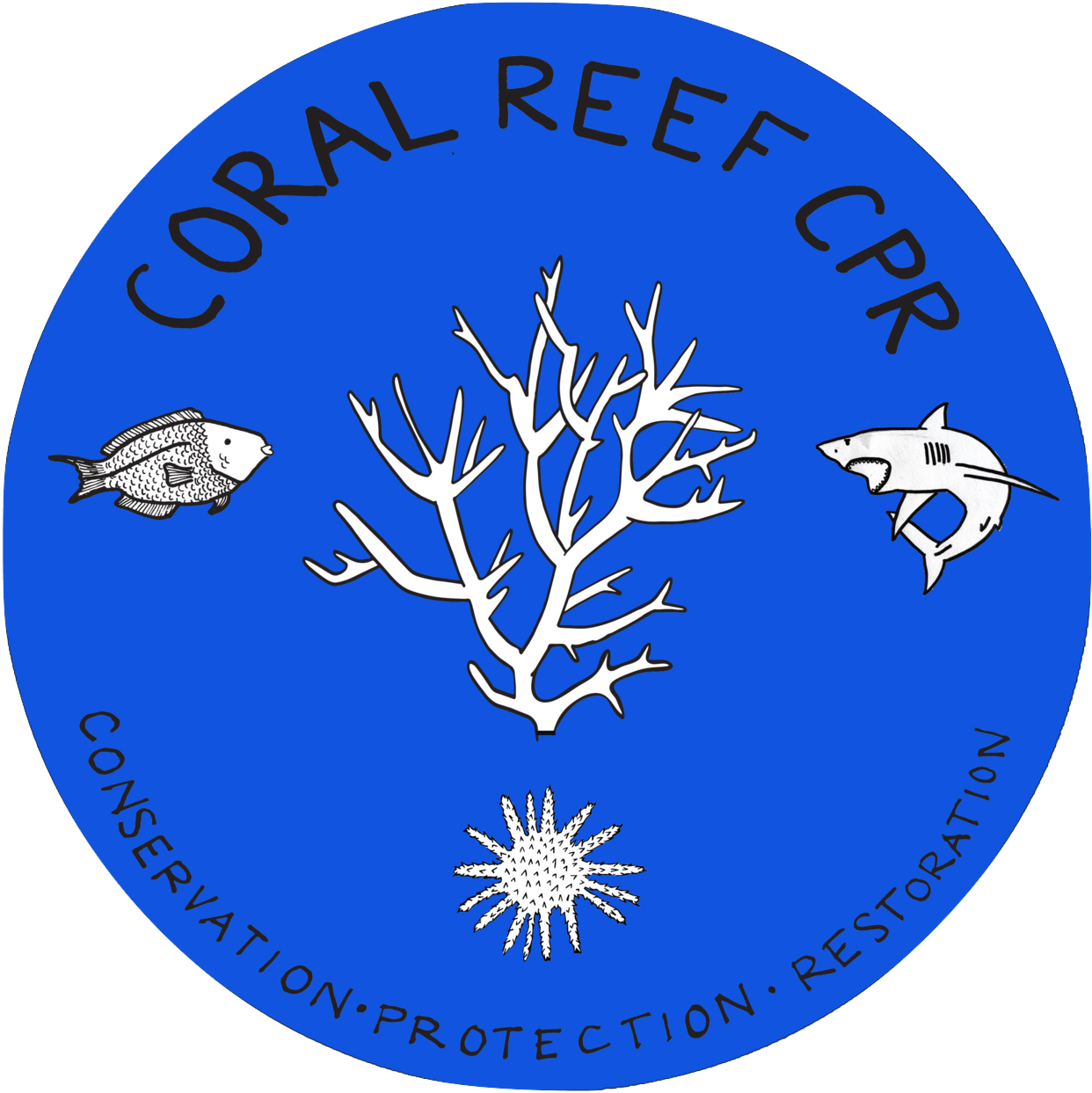 Coral Reef Cpr - Coral Reef (1299x1295), Png Download