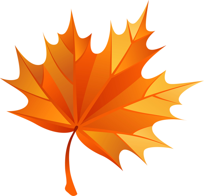 Fall Clip Art - Maple Leaf Png Free (800x769), Png Download