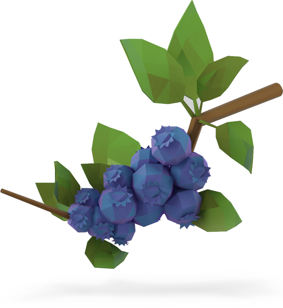 Lowbush Blueberries - Blueberry Plants Transparent (987x1075), Png Download