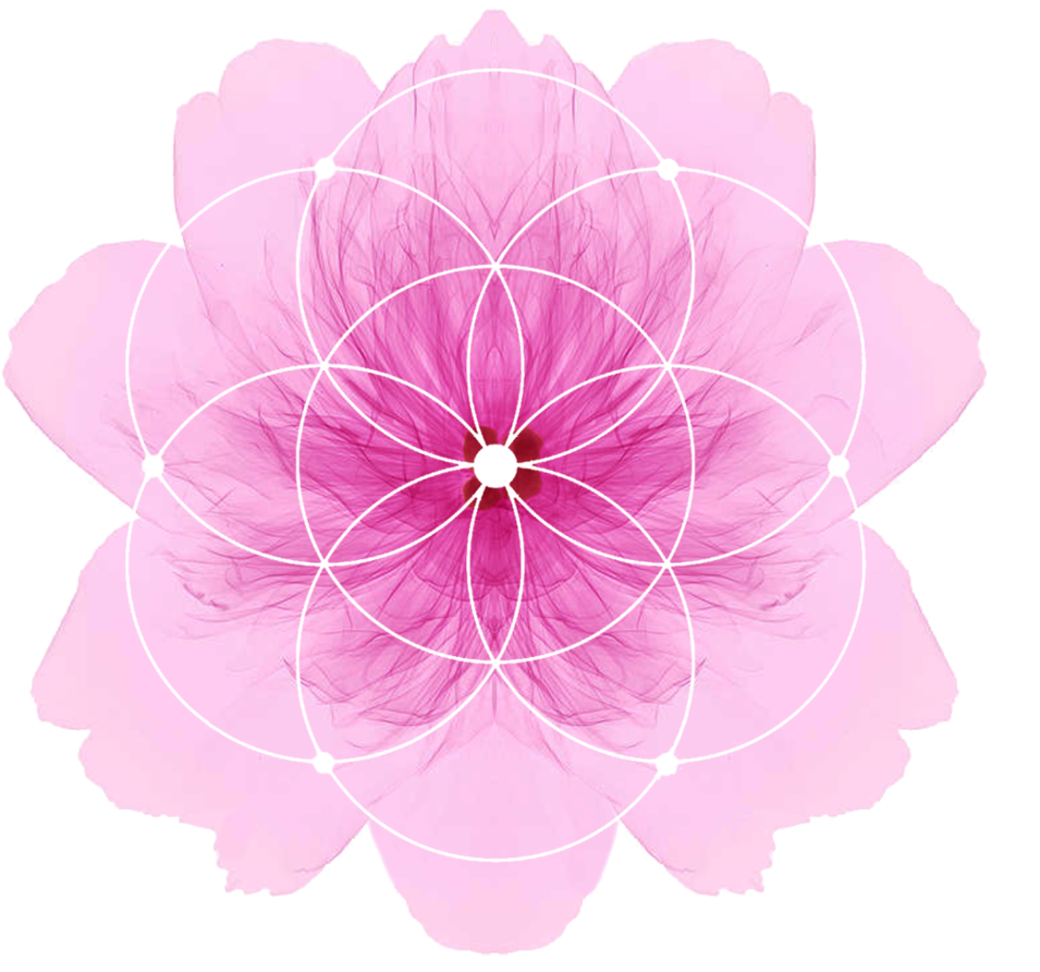Satnamrasayanmandalas - Sādhanā (1000x1000), Png Download