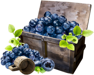 Blueberries - Черника Картинки Для Декупажа (500x412), Png Download
