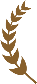 Official Leaves Png - Laurel Leaves Icon (328x492), Png Download