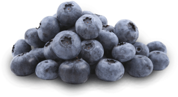 Little Stack Of Blueberries - Your Superfoods Organic Forever Beautiful Mix 150g (400x400), Png Download