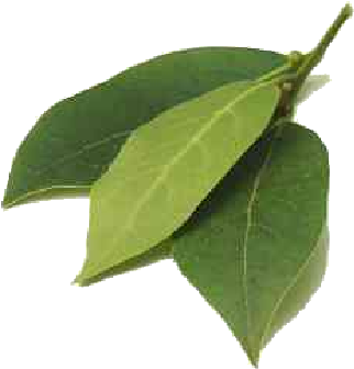 The Leaves Which Contains A High Percentage Of Oxygenated - Type Of Leaves In India (378x361), Png Download
