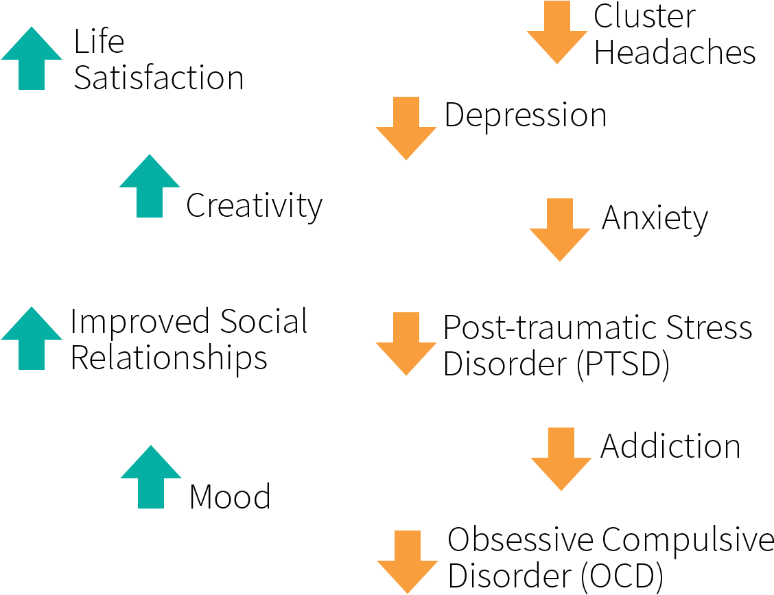 Medical Benefits Of Psychedelic Drugs Related To Mood, - Parallel (1200x880), Png Download