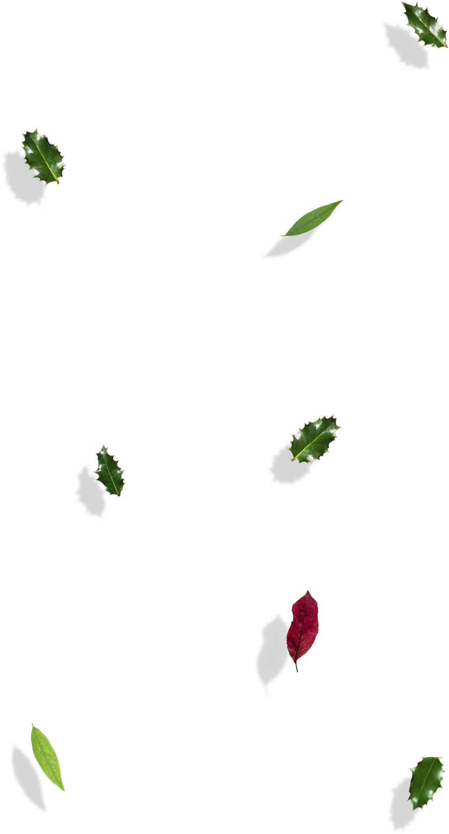 Illustration (1920x2485), Png Download