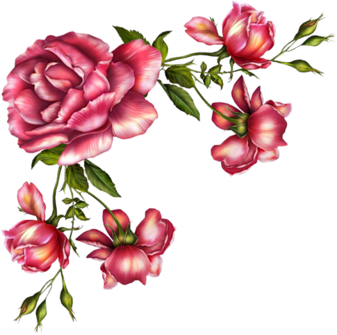 Imagens Para Decoupagem - Rose Water Toner For Face And Neck (500x493), Png Download
