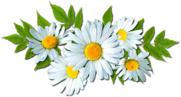 Fleurs Flowers Bloemen Png - Flower (600x600), Png Download