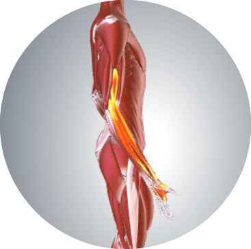 Plate (367x364), Png Download