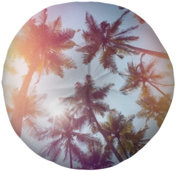 Palms Trees On A Beach Vintage Stylized With Film Light - Film (400x400), Png Download
