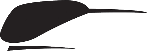 Mclaren Logo 1967-1980 - Paddle (594x208), Png Download