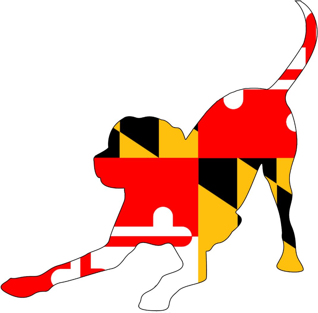 Maryland (1091x1200), Png Download