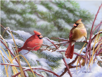 Winter Cardinals - Bradley Jackson A Crisp Winter Day (400x400), Png Download