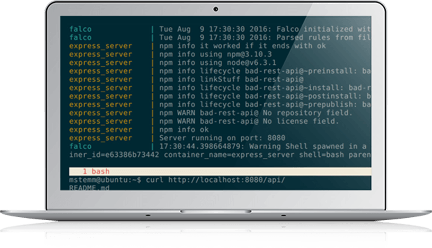 Falco Is An Open Source Project For Intrusion And Abnormality - Falco (887x509), Png Download