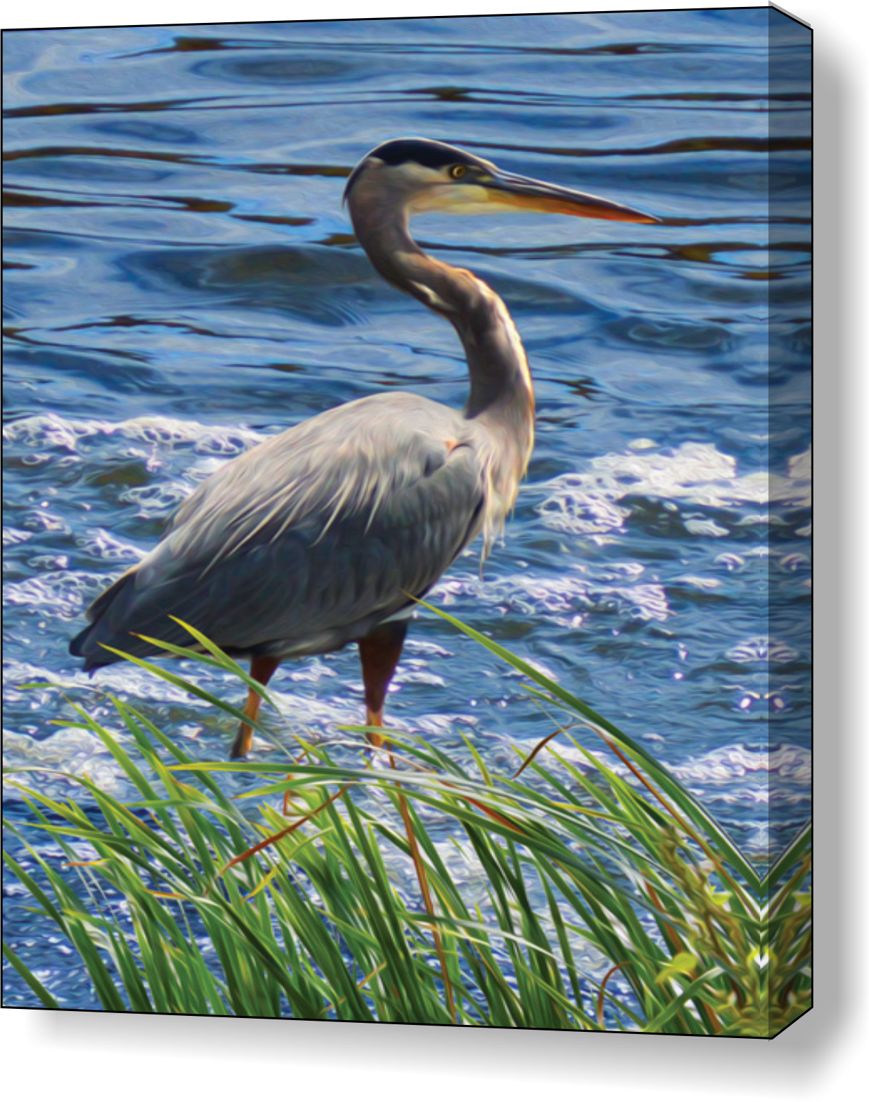Jpg Free Stock Heron Drawing Watercolor (1252x1587), Png Download