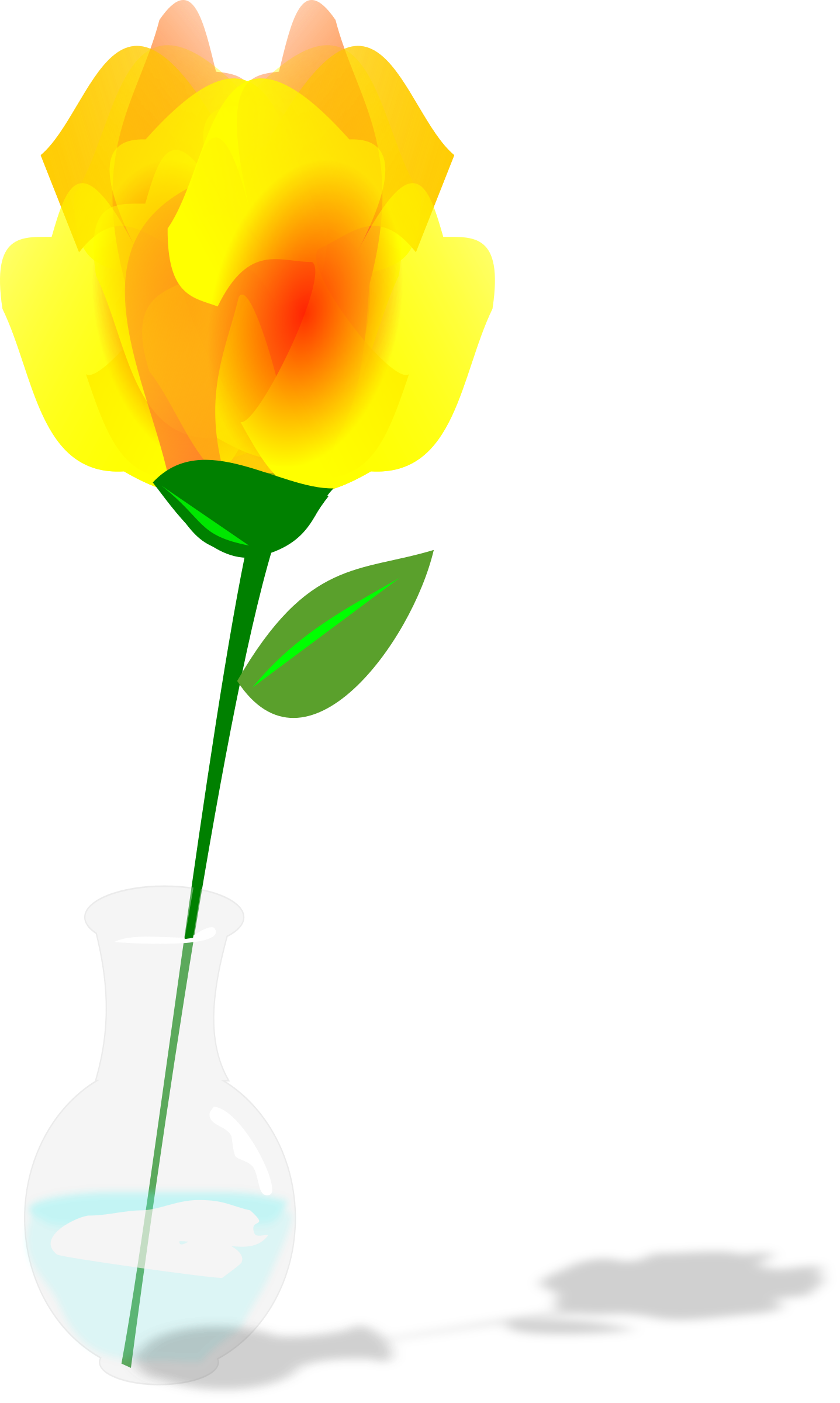 Big Image - Flor Amarela Png (1437x2400), Png Download