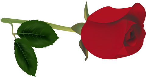 Red Rose Bud Png Clipart - Bud Clipart (500x266), Png Download