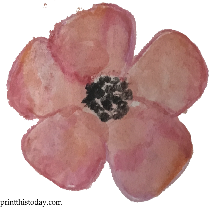 Watercolor Flower Clipart Free - Anemone (720x720), Png Download