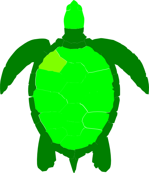 Sea Turtle Clipart - Green Sea Turtle Clipart (516x597), Png Download