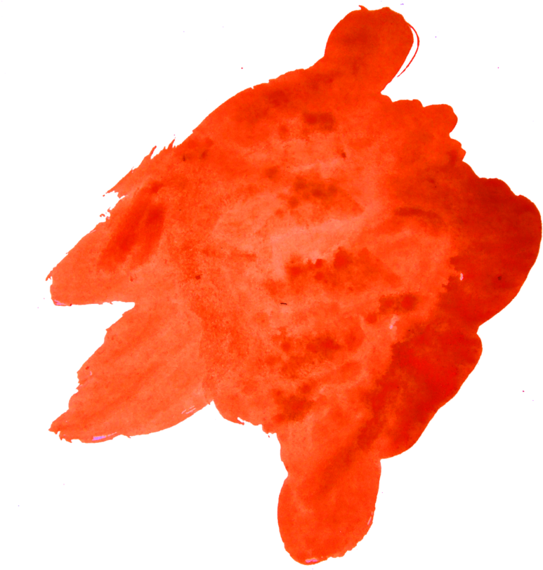 Colorful Vector Elements Free Png - Portable Network Graphics (1024x1024), Png Download