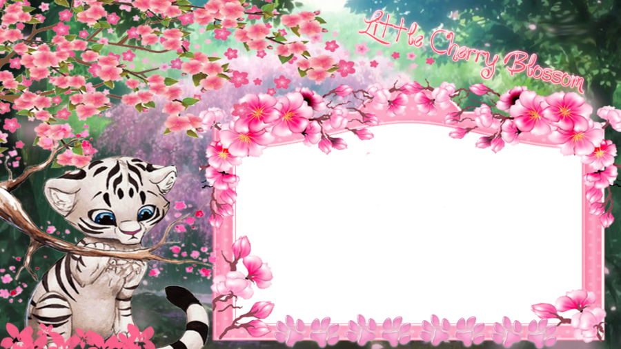 Cherry Blossom Clipart Cherry Blossom Floral Design - Cherry Blossom (900x506), Png Download