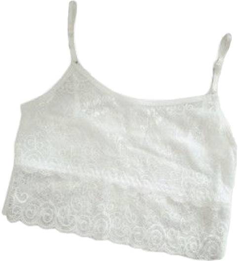 Polyvore Croptop Png Rippolyvore Niche Freetoedit - Polyvore (482x529), Png Download