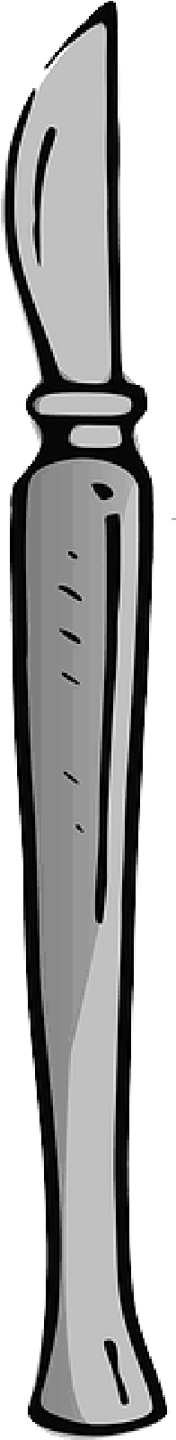 Mb Image/png - Scalpel (800x1600), Png Download