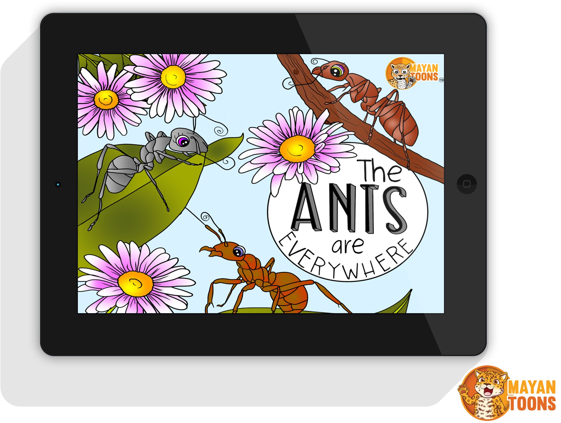 View All The Educational Comics Books About Guatemala - Common Zinnia (2048x1551), Png Download
