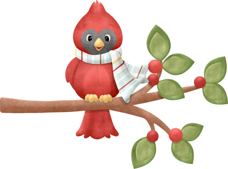 Clipart Baby Cardinal - Christmas Day (800x594), Png Download