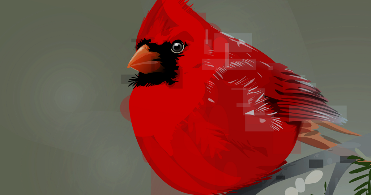 Northern Cardinal (1200x630), Png Download