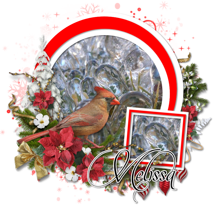 Cardinal - Northern Cardinal (749x701), Png Download